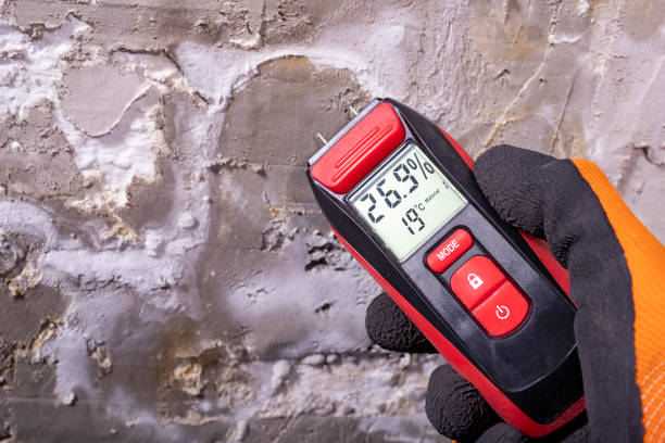 Best White Mold Remediation in Oak Grove, OR